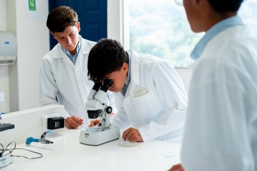 Bachillerato Internacional de APDE Solalto